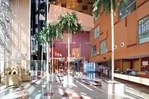 Apartamentos Fenix Beach Spain